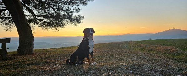 Jahresabschlusstraining