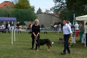 Cara mit Melanie im Ring