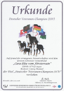 Veteranenchampion Cara