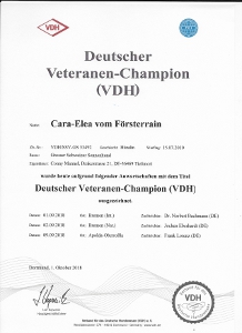 Veteranenchampion Cara