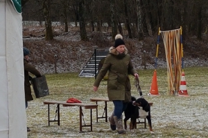 Körung Frühjahr 2018