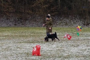 Körung Frühjahr 2018