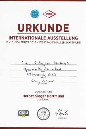 Trixie Herbstsieger Dortmund