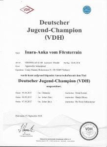 Trixie VDH Jugendchampion