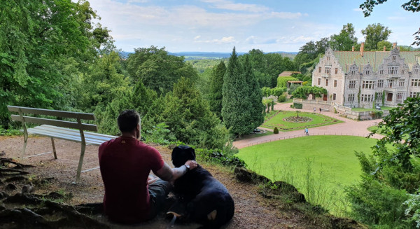 Schlosshund Arvo