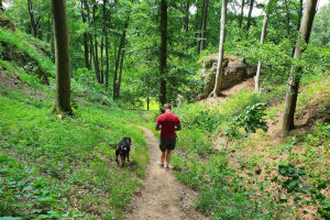 Arvo wandern