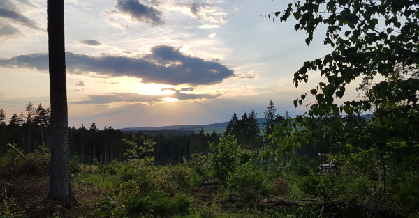 ... auf dem Heimweg...