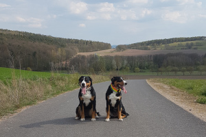 Trixie und Jocy on Tour