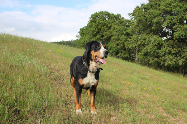 Cara 10 Jahre