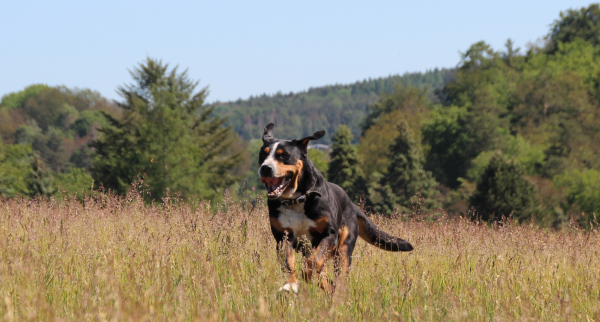 Oldie Girl zum Kindertag