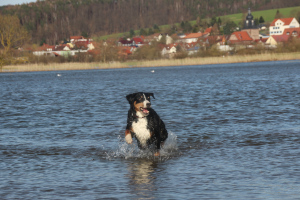 Hochwasserspaß