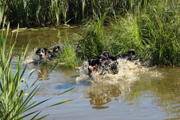 Wasserspaß