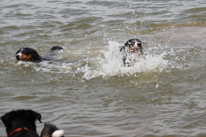 Schwimmunterricht