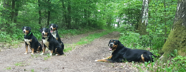 Familie plus 1