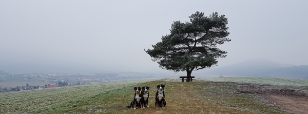 ... ein Hauch von Winter