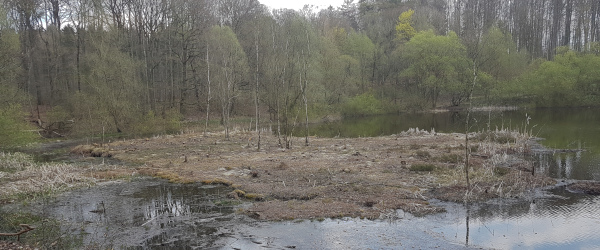 Hautsee bei Dönges