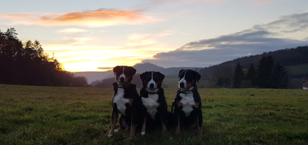 Ein Abend im November 2020
