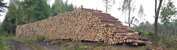 Holzpolter