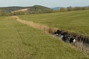 Wassertreten
