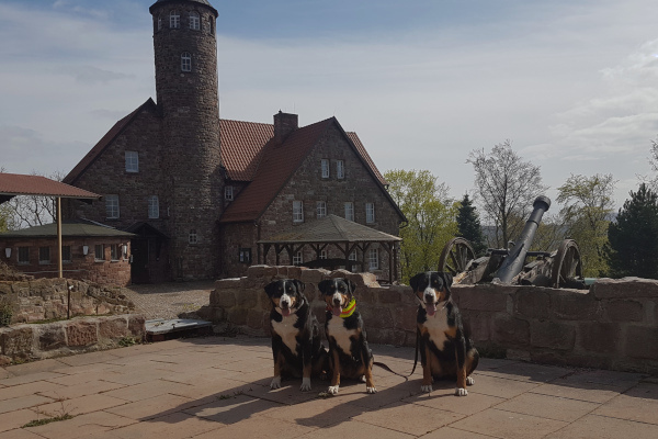 Krayenburg Ostermontag 2020