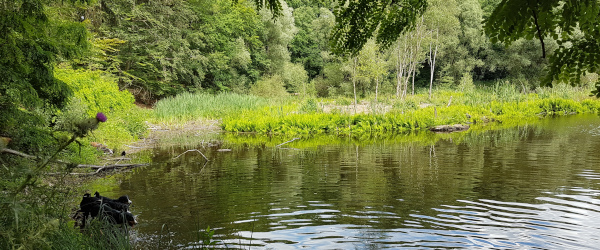 Rast am Hautsee