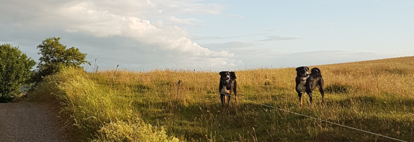 Juliabend am Rahberg