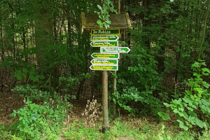 Wegweiser