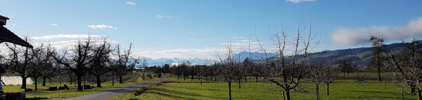 Alpenpanorama