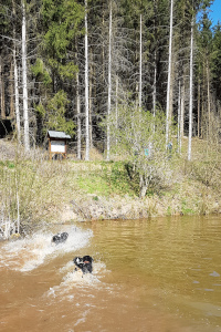 Baden im Wolfgangssee