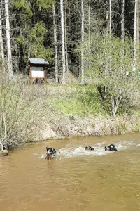 Baden im Wolfgangssee