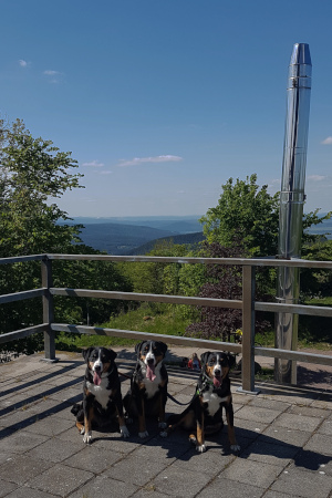 Plattform am Pleßturm