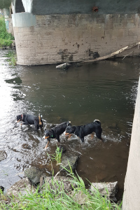 Baden in der Werra