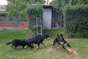 drei Generationen