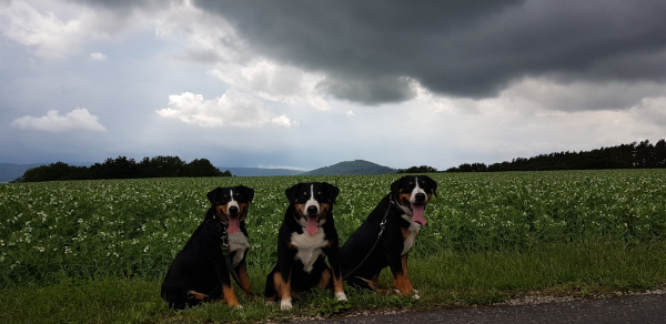 Wolken ziehen auf...