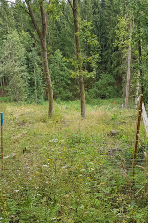 Erfolg der Pflanzaktion