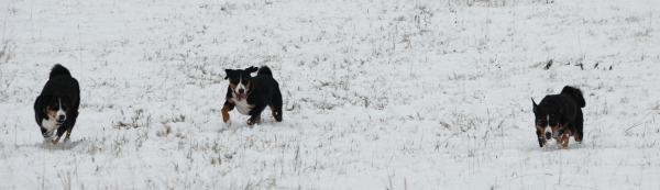 erster Schnee