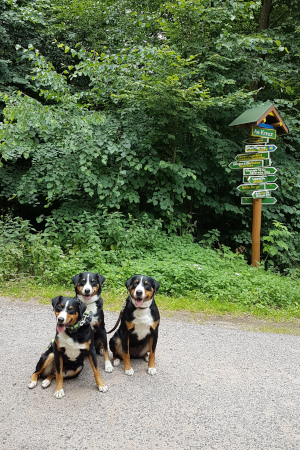 Es geht los...
