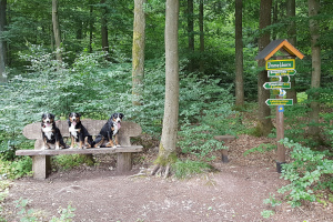 Sitzbank