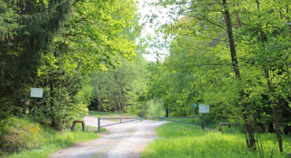Irrweg