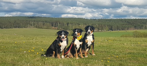 1. Mai - Spaziergang