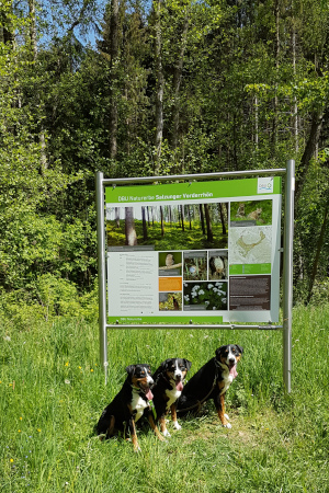 Naturerbe Salzunger Vorderroehn