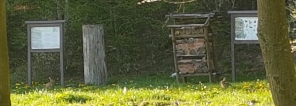 Osterhasen