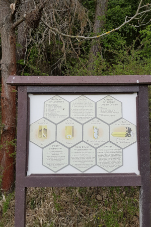schlaue Bienen