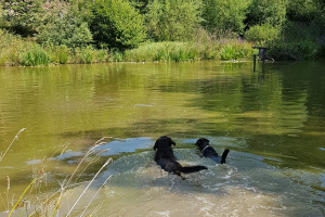 Schwimmkurs