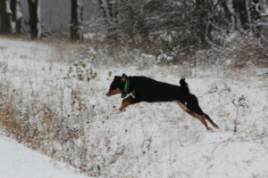 Schnee