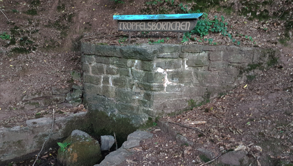Tröpfelsbörnchen