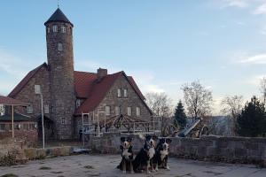 Krayenburg