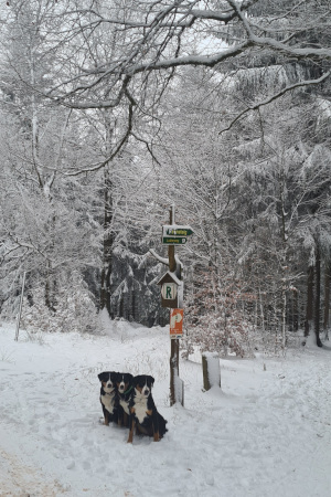 Dreiherrnstein