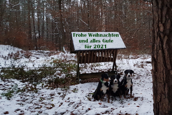 Weihnachtsgruesse