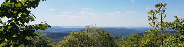 Aussicht vom Pleß